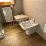 Rent 2 bedroom apartment of 45 m² in Pavia