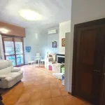 Rent 3 bedroom apartment of 100 m² in Roma