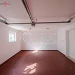 Rent 5 bedroom apartment of 286 m² in Horoměřice