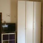 Rent 1 bedroom apartment in Florence