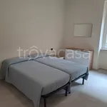 Rent 3 bedroom apartment of 80 m² in Torino