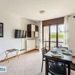 Rent 2 bedroom apartment of 55 m² in Milan