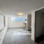 Rent 1 bedroom apartment of 17 m² in Zlín