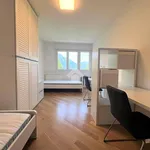 Rent 4 bedroom apartment of 90 m² in Trento