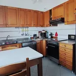 Rent 4 bedroom apartment of 110 m² in Carrara