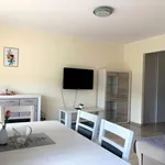 Rent 1 bedroom apartment of 30 m² in Szczecin