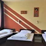 Rent 1 bedroom apartment of 22 m² in Pécs