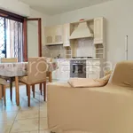 Rent 3 bedroom apartment of 88 m² in Monterotondo