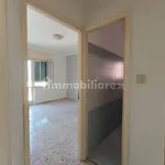 Affitto 3 camera appartamento di 84 m² in Catania