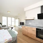 Pronajměte si 2 ložnic/e byt o rozloze 53 m² v Prague