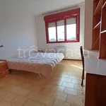 Rent 4 bedroom apartment of 95 m² in Padova