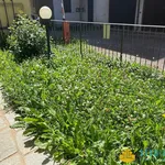 2-room flat via Bernardino Galliari 57, Andorno Cacciorna, Andorno Micca