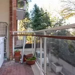 Rent 6 bedroom apartment in Rome