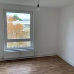 Rent 3 bedroom apartment of 78 m² in Göttingen