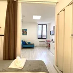 Appartement de 20 m² avec 1 chambre(s) en location à Lyon