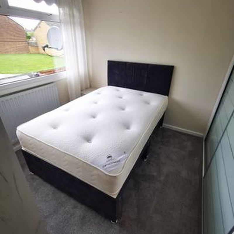 Property to rent in Cowpen Crescent, Stockton-On-Tees TS19 Queen's Park