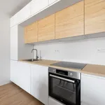 Rent 1 bedroom apartment of 38 m² in Prague