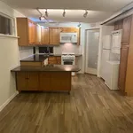 Rent 1 bedroom apartment of 41 m² in NY