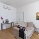 Rent 1 bedroom apartment in Milan