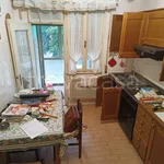 Rent 4 bedroom apartment of 80 m² in Udine