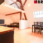 Rent 2 bedroom apartment of 63 m² in Brno