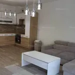 Rent 1 bedroom apartment of 70 m² in Szolnok