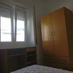 Rent 5 bedroom apartment in Coimbra