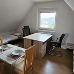 Rent 1 bedroom apartment in Brno