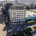 Rent 1 bedroom apartment in Wellington