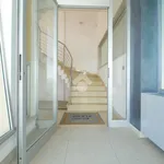 Rent 3 bedroom apartment of 350 m² in Francavilla Fontana