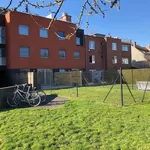 Rent 1 bedroom apartment in Kortrijk