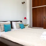 Rent a room of 100 m² in Olhão