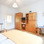 Miete 1 Schlafzimmer wohnung von 30 m² in Vienna