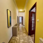 Rent 4 bedroom apartment of 100 m² in Ferrara