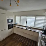 Rent 4 bedroom house of 121 m² in Haarlem