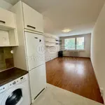 Rent 3 bedroom apartment of 64 m² in Libčice nad Vltavou