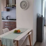 Rent 2 bedroom apartment of 65 m² in Rome