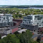 Rent 1 bedroom apartment in Kingston