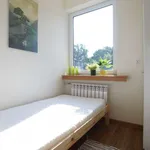 Rent a room in lodz