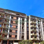 Rent 2 bedroom apartment of 50 m² in Turin