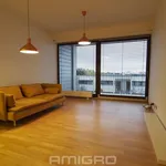 Rent 2 bedroom apartment of 50 m² in Brno