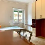 Rent 1 bedroom apartment of 70 m² in Roma