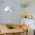 Rent 2 bedroom apartment of 57 m² in Praha