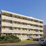 Rent 3 bedroom apartment of 72 m² in Neuss