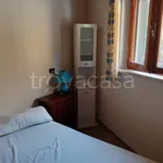 Rent 3 bedroom apartment of 70 m² in Pisa