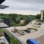 Rent 3 bedroom apartment of 60 m² in Szczecin