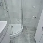 Pronajměte si 2 ložnic/e byt o rozloze 54 m² v Karviná