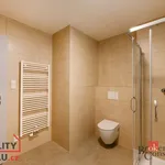 Rent 1 bedroom apartment of 54 m² in Pilsen