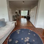 Rent 5 bedroom house of 177 m² in Rotterdam