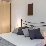 Rent 1 bedroom apartment in florence